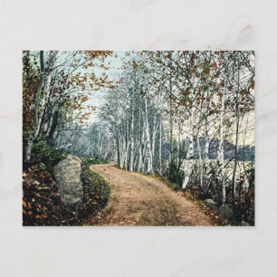 Birch Dr., Postal Postage de Lake George NY