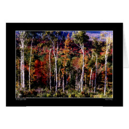 Birches contra la tarjeta de color