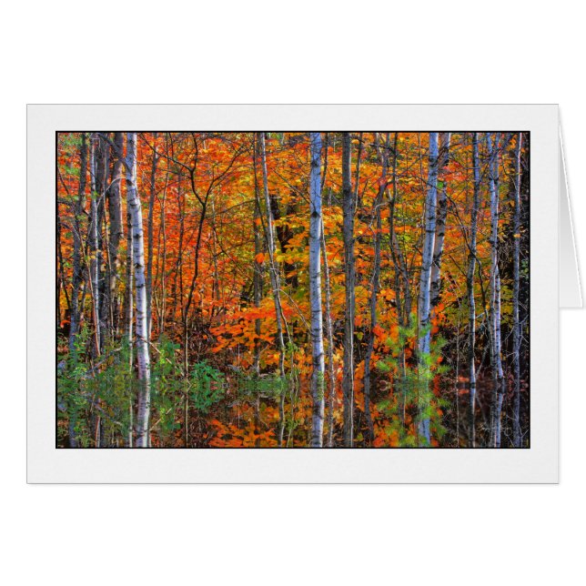 Birches en aguas altas (Anverso (Horizontal))