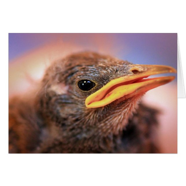 Bird (Anverso (Horizontal))