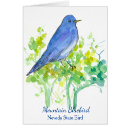 Bird Blank del estado de Mountain Bluebird Nevada