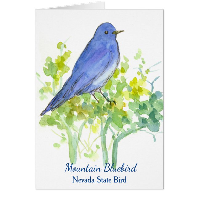 Bird Blank del estado de Mountain Bluebird Nevada (Frente)
