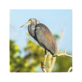 Bird Perfect 12 x 12 arte mural Metalizado