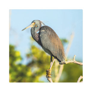 Bird Perfect 16 x 16 arte mural Metalizado