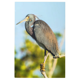 Bird Perfect 24 x 36 arte mural Metalizado