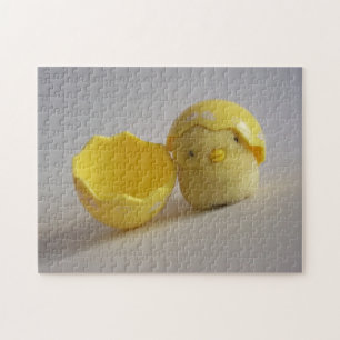 Bird Puzzle