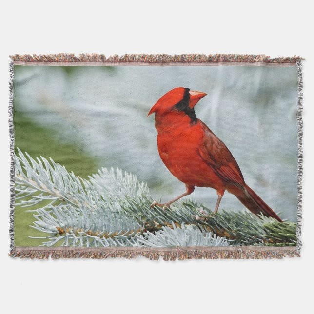Bird red_blanket manta (Anverso)