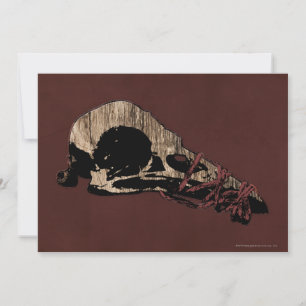 Bird Skull