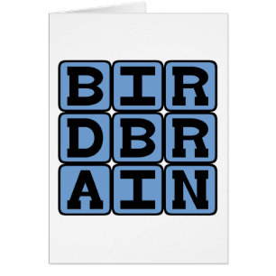 Birdbrain, observador de aves