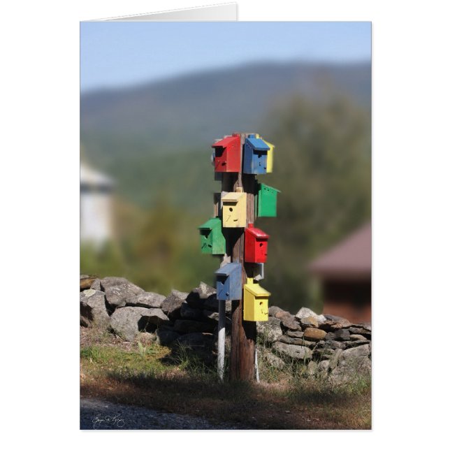 Birdhouse Condo (Frente)