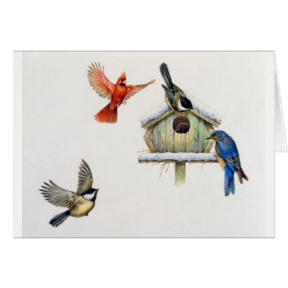 Birdhouse del invierno