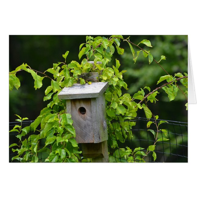 Birdhouse Notecard (Anverso (Horizontal))