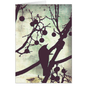 Birdie All Occasis