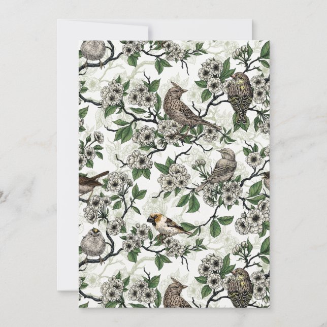Birds and cherry blossom on white (Anverso)
