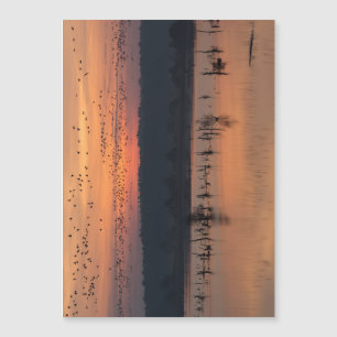 Birds at sunrise