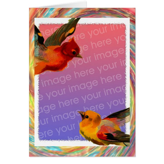Birds Frame Your Photo Birthday (Frente)