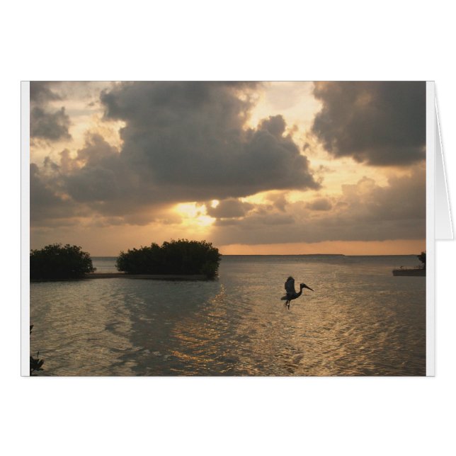 birdsun.jpg (Anverso (Horizontal))