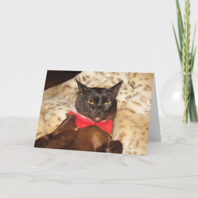 Birmano 1 (espacio en blanco) de Navidad de FPG (Anverso)