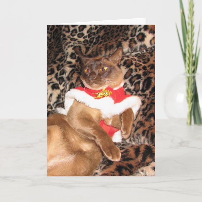 Birmano 2 de Navidad de FPG - (Anverso)