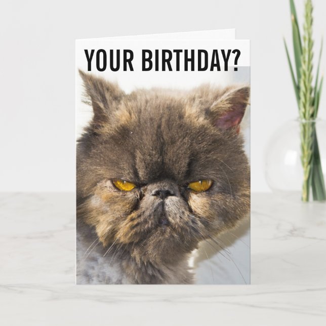 BIRTHDAY GRUMPY PERSA CAT FUNNY Tarjeta de felicit (Anverso)