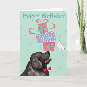 Birthday presenta la tarjeta Newfoundland