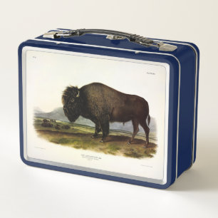 Bison Americano, o Búfalo (Bison bison) - Audubon