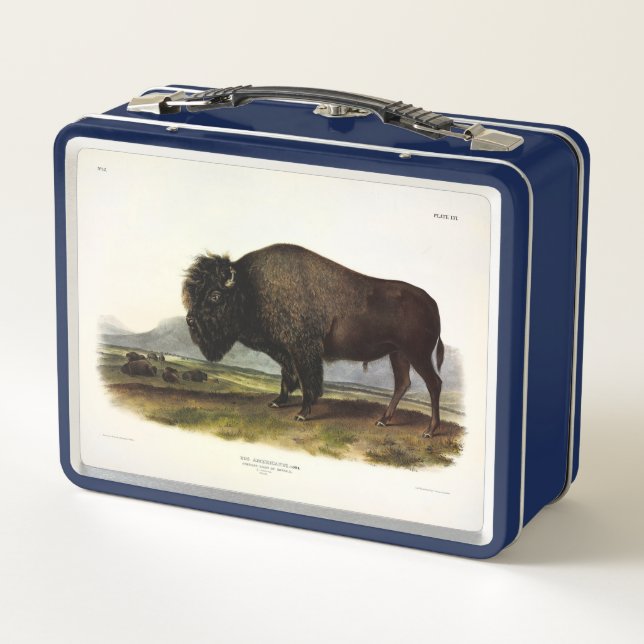 Bison Americano, o Búfalo (Bison bison) - Audubon (Reverso)