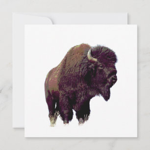 Bison Búfalo