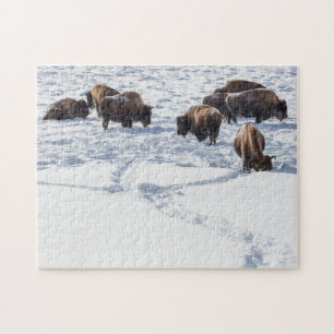 Bison en el rompecabezas de la nieve