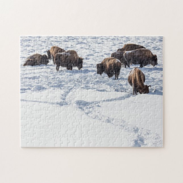 Bison en el rompecabezas de la nieve (Horizontal)