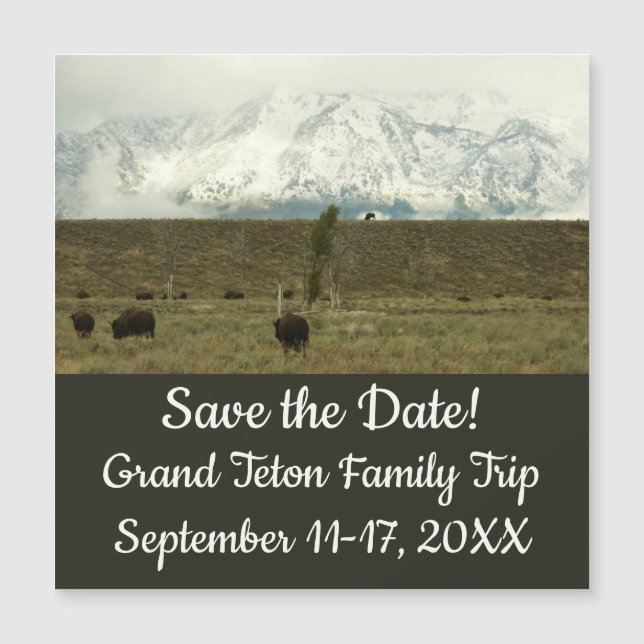 Bison en la fotografía del parque nacional del Gra (Anverso)