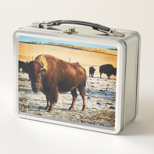 Bison Lunchbox (Anverso)