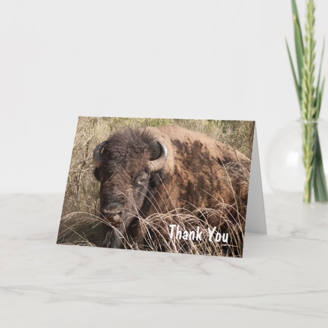 Bison tarjeta de agradecimiento (Anverso)