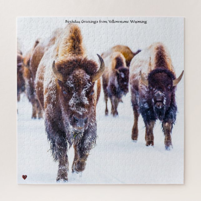 Bison Yellowstone Wyoming Jigsaw Puzzle (Vertical)