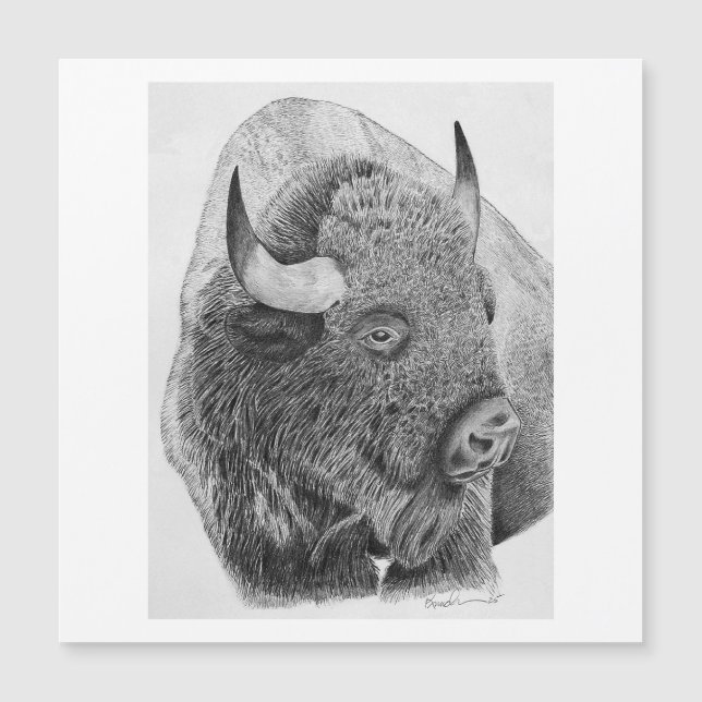 Bisonte Americano (Anverso)