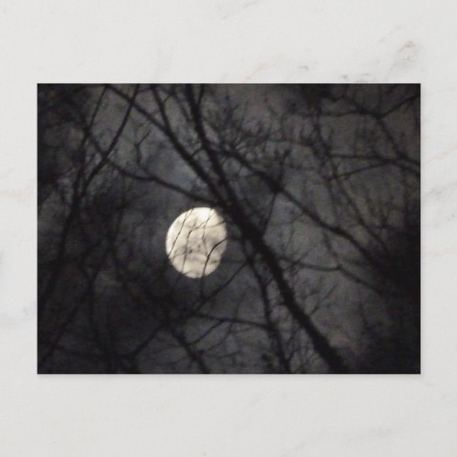 BL- Postal natural de la Luna y los Árboles (Anverso)