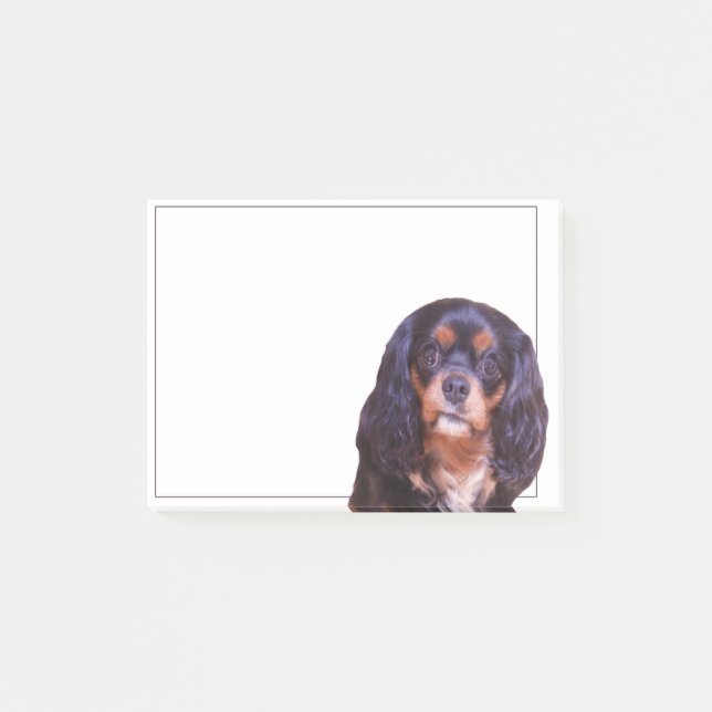 Black And Tan King Charles Spaniel Post Nota (Anverso)