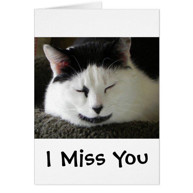 Black and White Cat Humor (Frente)