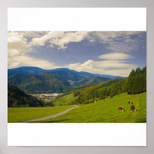 Black Forest póster