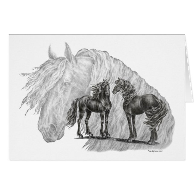 Black Friesian Horses Manes Tails (Anverso (Horizontal))