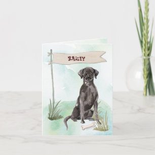 Black Lab felicita al nuevo perro