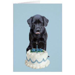 Black Lab Tarjeta de todas las ocasiones - Cumplea