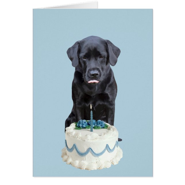 Black Lab Tarjeta de todas las ocasiones - Cumplea (Frente)