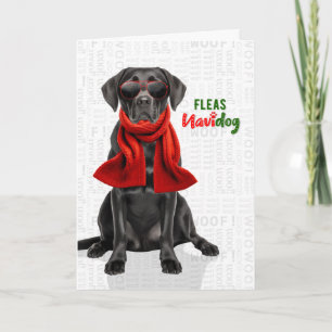 Black Labrador Retriever Pulgas Navidog Navidad