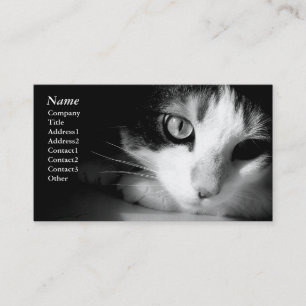 Black&white del gato - tarjetas de visita
