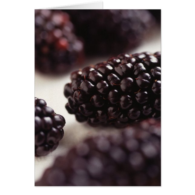Blackberries (Frente)