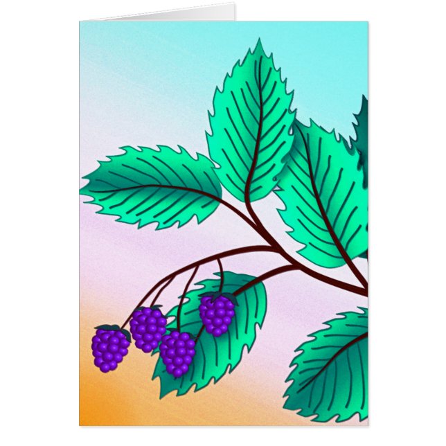 Blackberries en una rama (Frente)