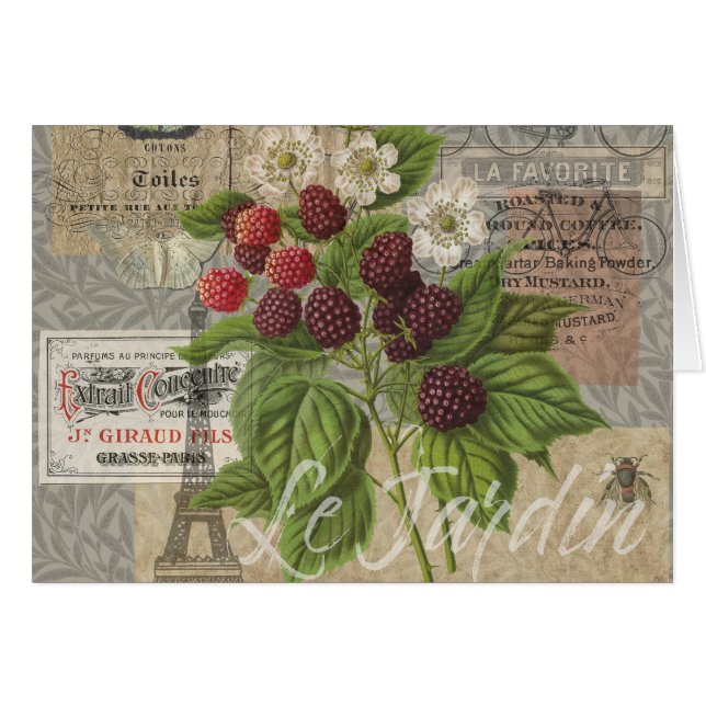 Blackberries Floral Jardín Flor Mariposa Arte (Anverso (Horizontal))