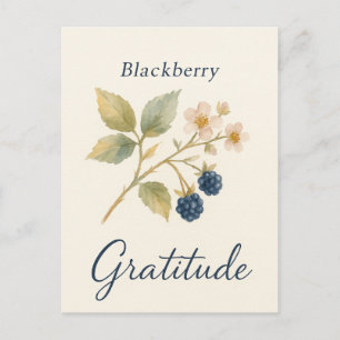 Blackberry — Tarjeta postal de gratitud