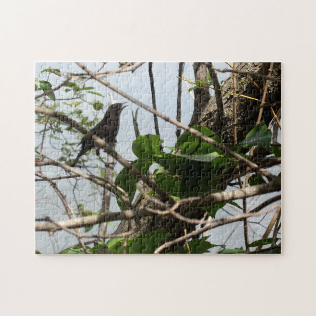 Blackbird Cantando el rompecabezas (Horizontal)